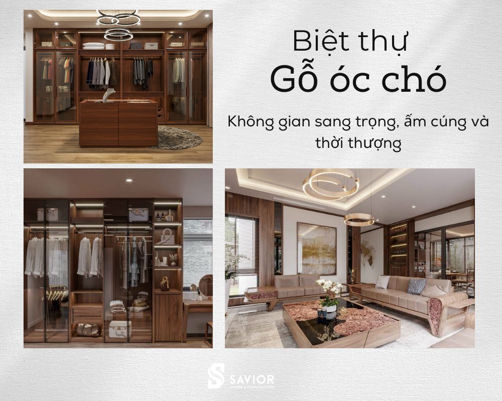 4 mẫu biệt thự gỗ óc chó SANG TRỌNG xứng đáng tham khảo nhất 3 Không gian nội thất biệt thự gỗ óc chó sang trọng, ấm cúng và thời thượng