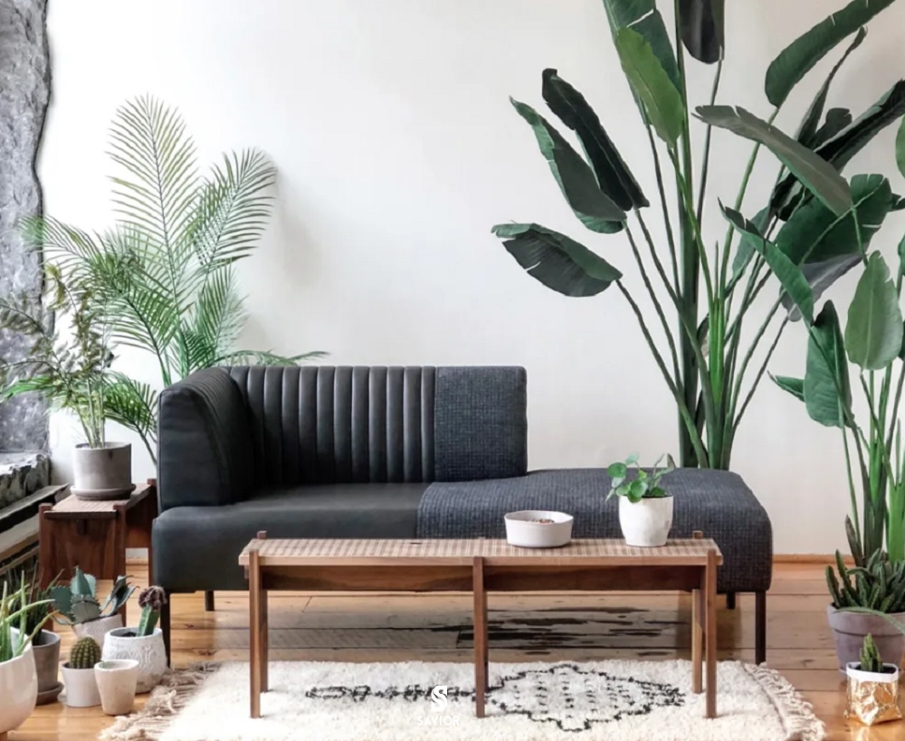 Những loại cây lá to hay cây nhiệt đới thường được sử dụng trong phong cách này